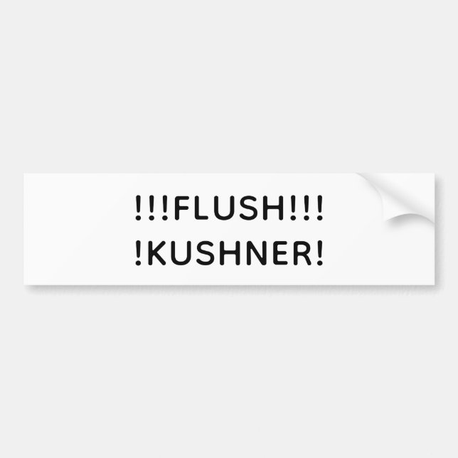 FLUSH KUSHNER Hankamer Artjunkhaus Splash-Art Spaß Autoaufkleber (Vorne)