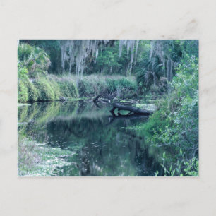 Fluss anmelden postkarte