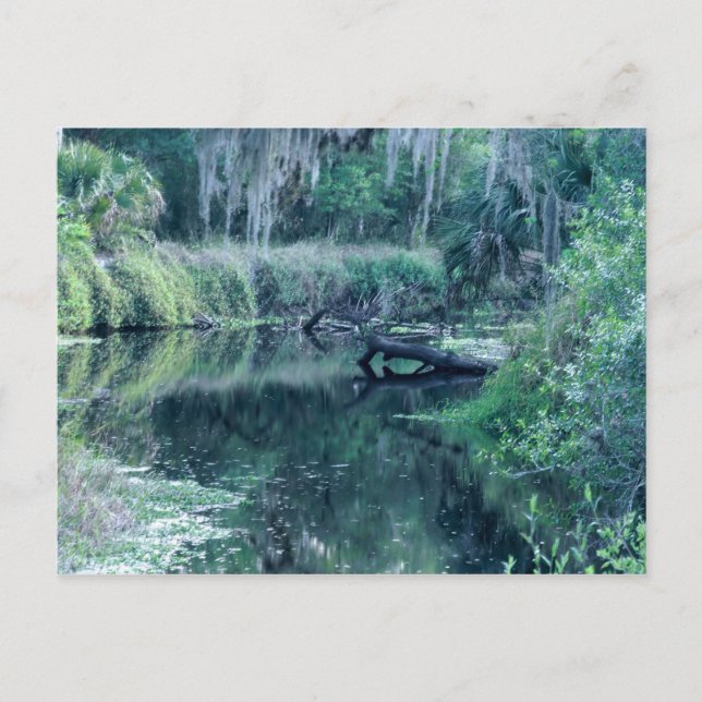 Fluss anmelden postkarte (Vorderseite)