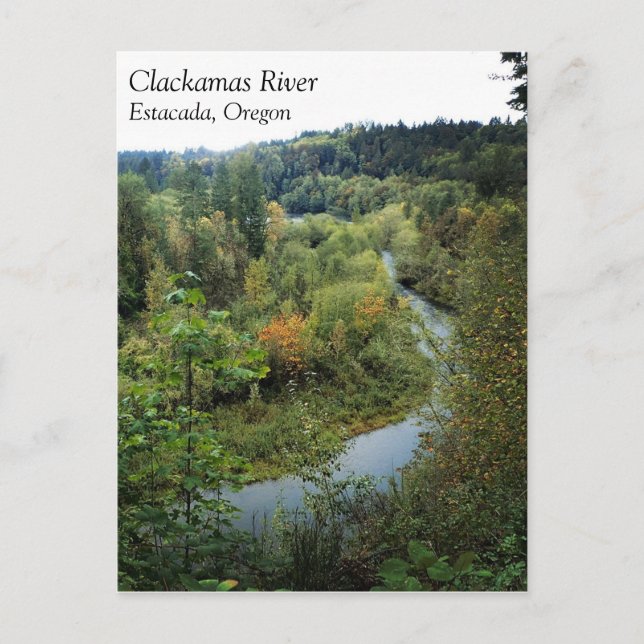 Fluss Clackamas, OR Postkarte (Vorderseite)