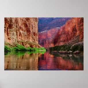 Fluss Colorado in Grand Canyon, AZ Poster