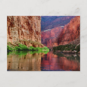 Fluss Colorado in Grand Canyon, AZ Postkarte