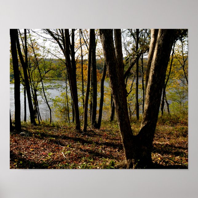 Fluss Connecticut Poster (Vorne)