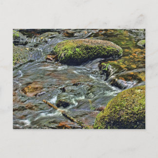 Fluss Dart in Dartmeet Dartmoor Postkarte