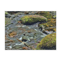 Fluss Dart in Dartmeet Dartmoor
