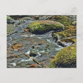 Fluss Dart in Dartmeet Dartmoor Postkarte