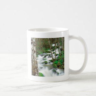 Fluss Deltaalders Siskiyou Wald Oregon Tasse