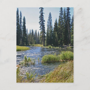 Fluss Deschutes am Little Lava Lake, Oregon Postkarte