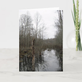 Fluss durch die Wildnis Karte