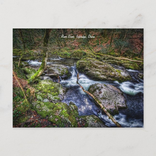 Fluss Erme, Ivybridge, Devon Postkarte (Vorderseite)