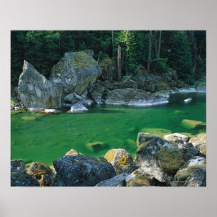 Fluss im Nationalpark North Cascade Poster