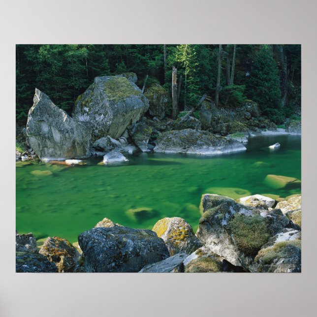 Fluss im Nationalpark North Cascade Poster (Vorne)