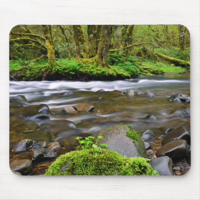 Fluss in grünem Wald, Oregon Mousepad (Vorne)