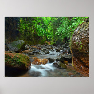 Fluss - Landschaft Stadtbild Landschaft Landschaft Poster