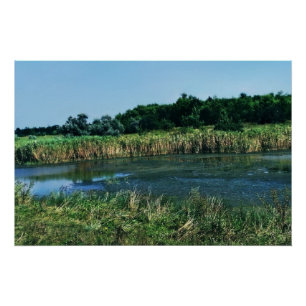 Fluss Molochnaja bei Melitopol. SüdUkraine Poster