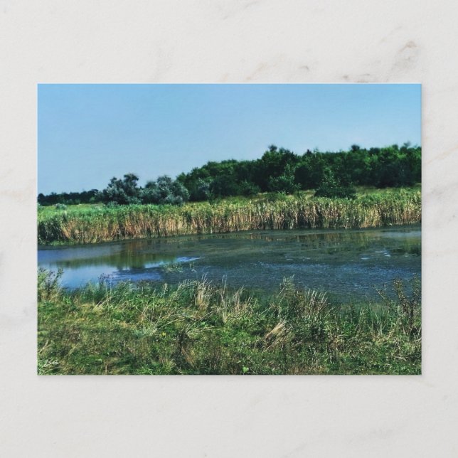 Fluss Molochnaja bei Melitopol. SüdUkraine Postkarte (Vorderseite)