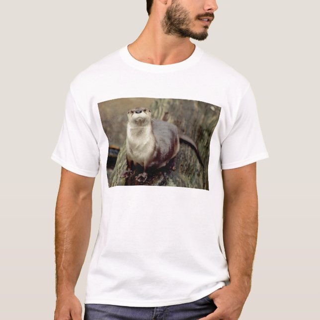 Fluss-Otter-Aufstellung T-Shirt (Vorderseite)