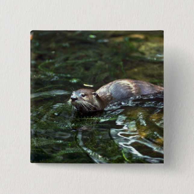 Fluss-Otter Button (Vorderseite)