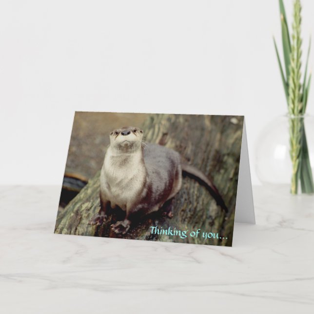 Fluss Otter, Denken Sie an Sie... Karte (Vorderseite)