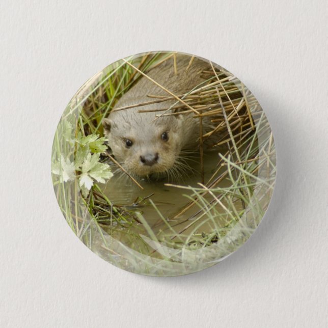 Fluss-Otter-Lebensraum-Knopf Button (Vorderseite)