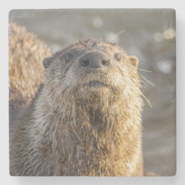 Fluss Otter Portrait Stone Untersetzer