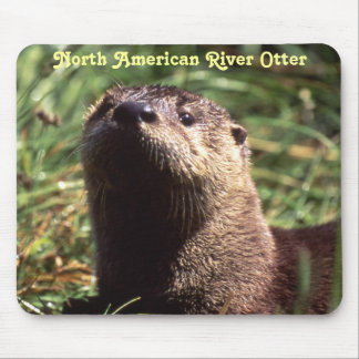 Fluss Otter Up Nahe und persönliche Mousepad