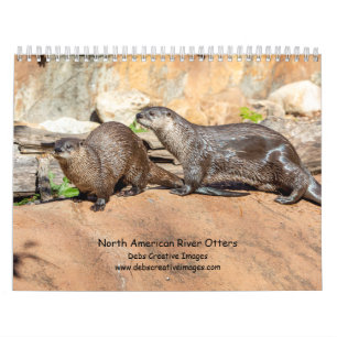 Fluss Otters 2024 Kalender