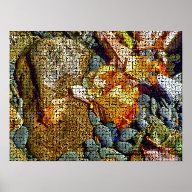 FLUSS POSTER (Vorne)