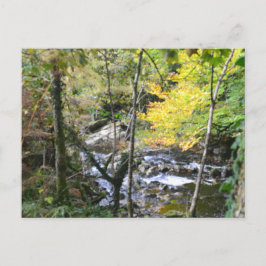 fluss postkarte