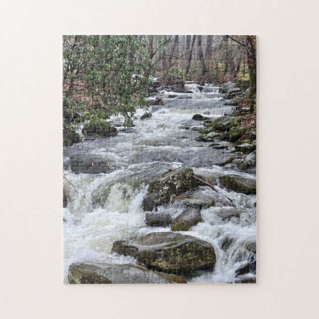 Fluss-Puzzle, 28 cm x 35,5 cm, 252 Teile Puzzle (Vertikal)