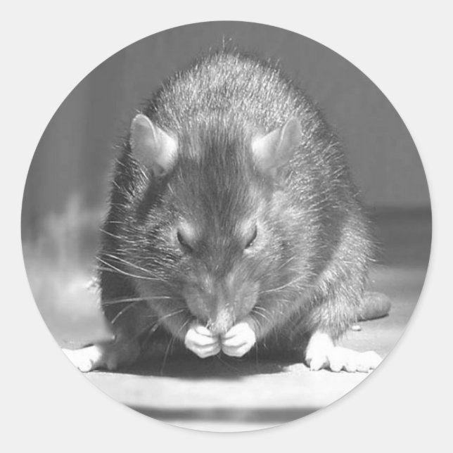 Fluss Runder Aufkleber (Vorderseite)