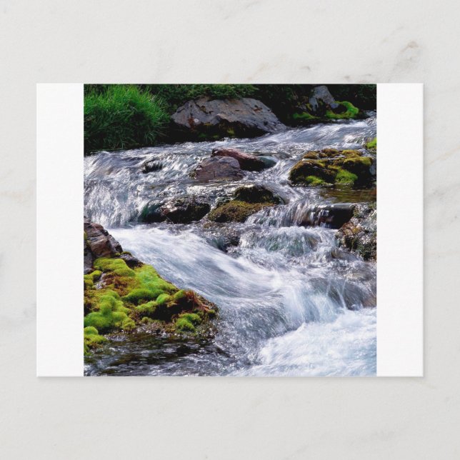 Fluss Rushing Georgia Postkarte (Vorderseite)