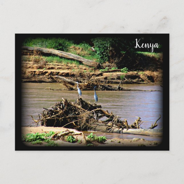 Fluss Samburu Postkarte (Vorderseite)