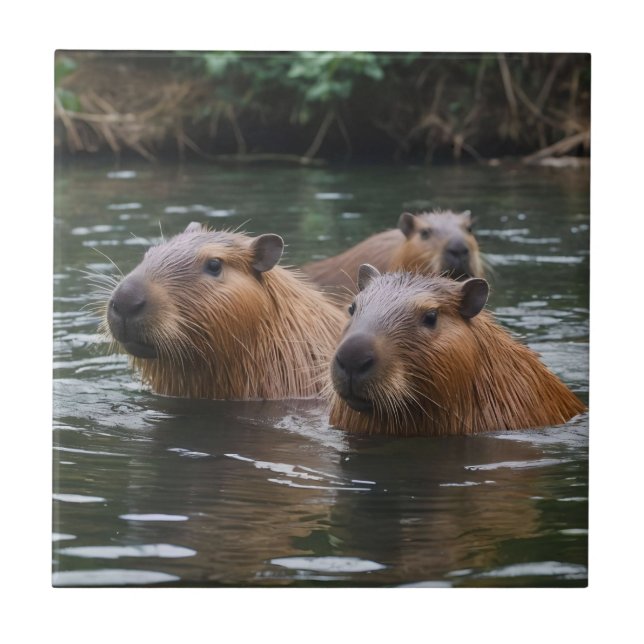 "Fluss Serenity: Capybaras schwimmen im Fluss" Fliese (Vorderseite)