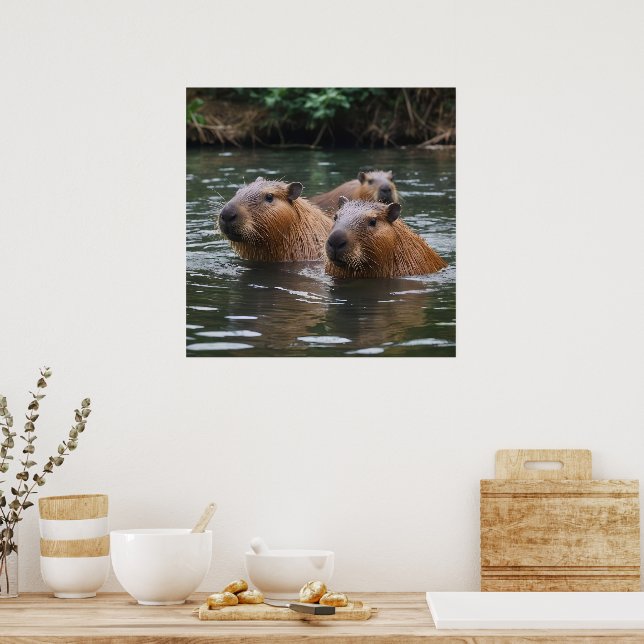 "Fluss Serenity: Capybaras schwimmen im Fluss" Poster (Küche)