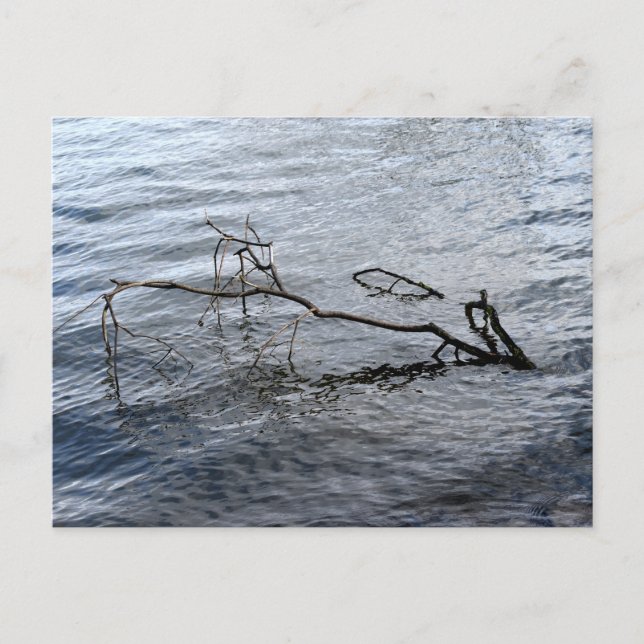 Fluss, Stillleben Postkarte (Vorderseite)