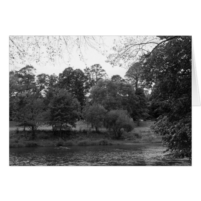 Fluss Taff im Bute Park, Cardiff - BW (Vorderseite (Horizontal))