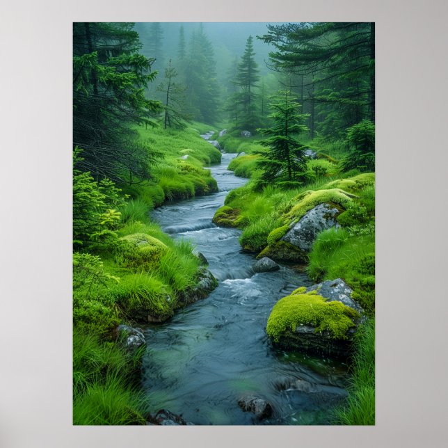 Fluss Tranquil Poster (Vorne)