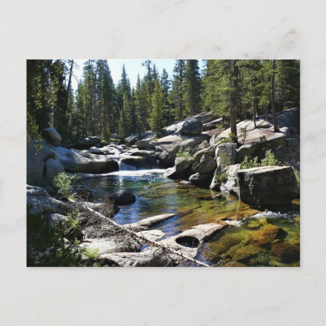 Fluss Tuolumne in Tuolumne Meadows, Yosemite, CA Postkarte (Vorderseite)