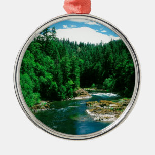 Fluss Umpqua Douglas County Oregon Silbernes Ornament