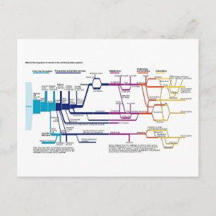 Flussdiagramm USA Amerikanisches Strafrechtssystem Postkarte