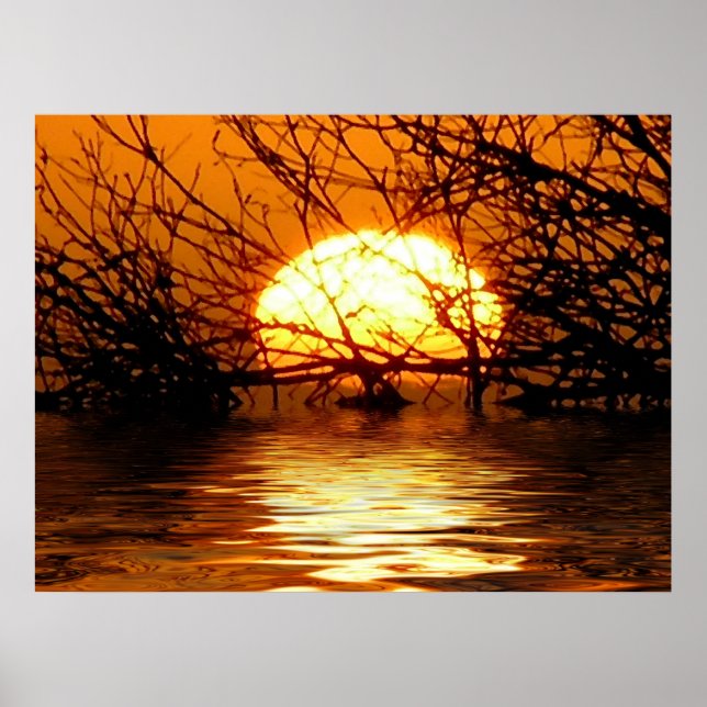 Flüssig-Sonnencreme Poster (Vorne)