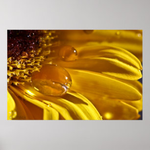 Flüssiges Gold Poster