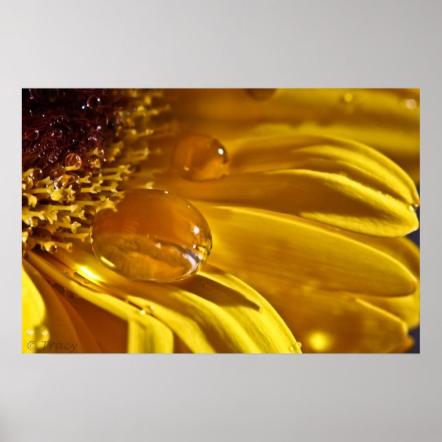 Flüssiges Gold Poster (Vorne)