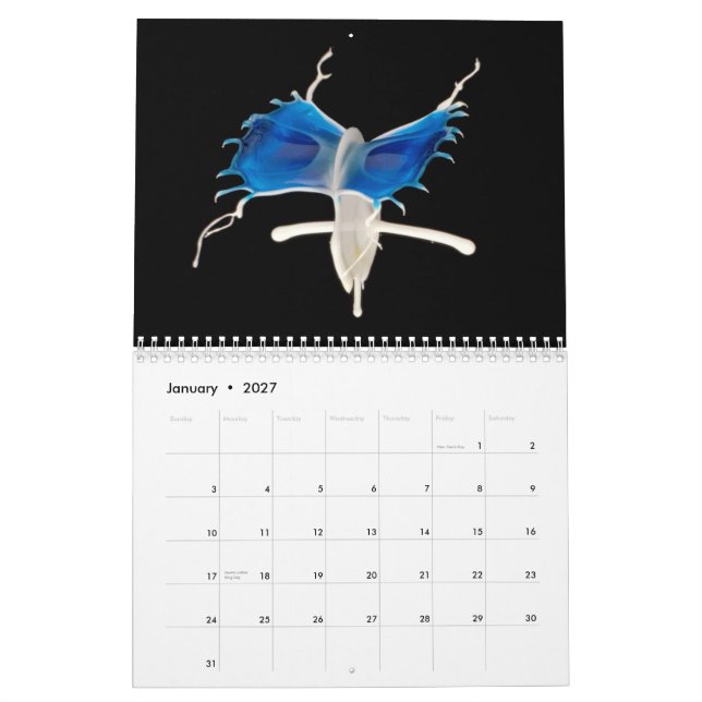 Flüssigkeit-in-Bewegung Kalender 2014 (Jan 2027)