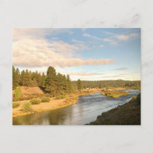 Flusslandschaft im Pazifischen Nordwesten - Postka Postkarte