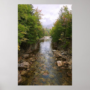 Flusslauf durch Waldnaturplakat Poster