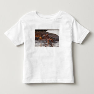 Flusspferd, Hippopotamus amphibius, See Kleinkind T-shirt