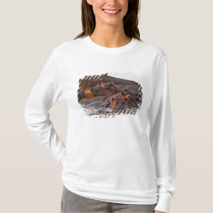 Flusspferd, Hippopotamus amphibius, See T-Shirt