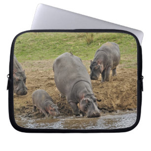 Flusspferd, Hippopotamus amphibius, Serengeti Laptopschutzhülle